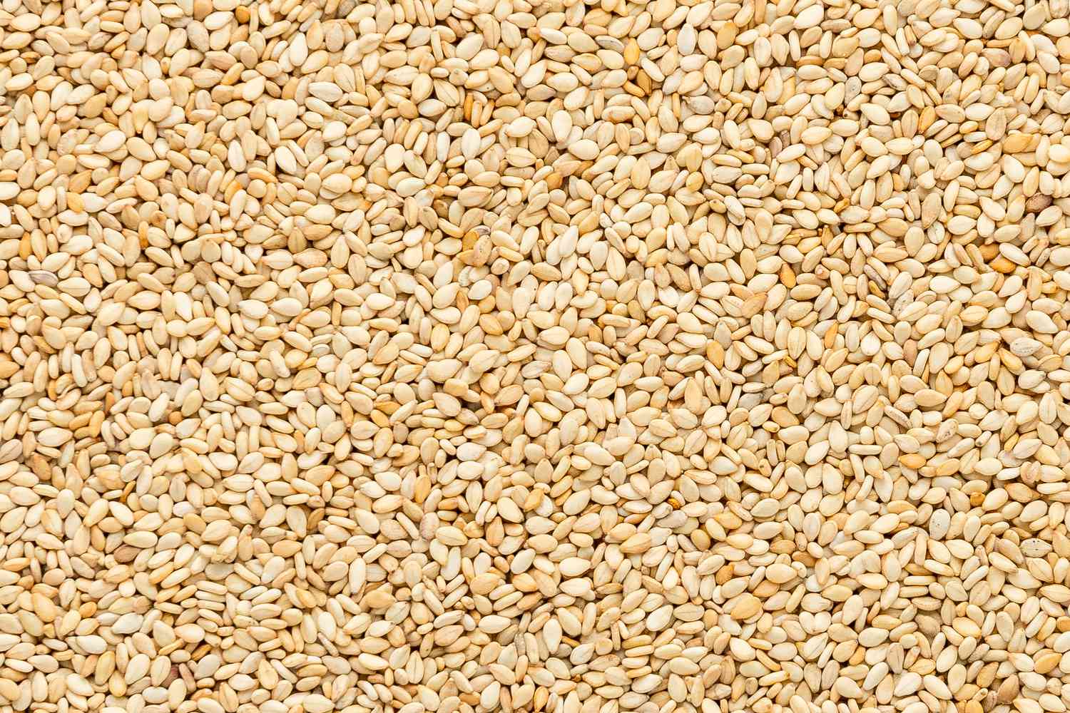 Toasted Sesame Seeds 