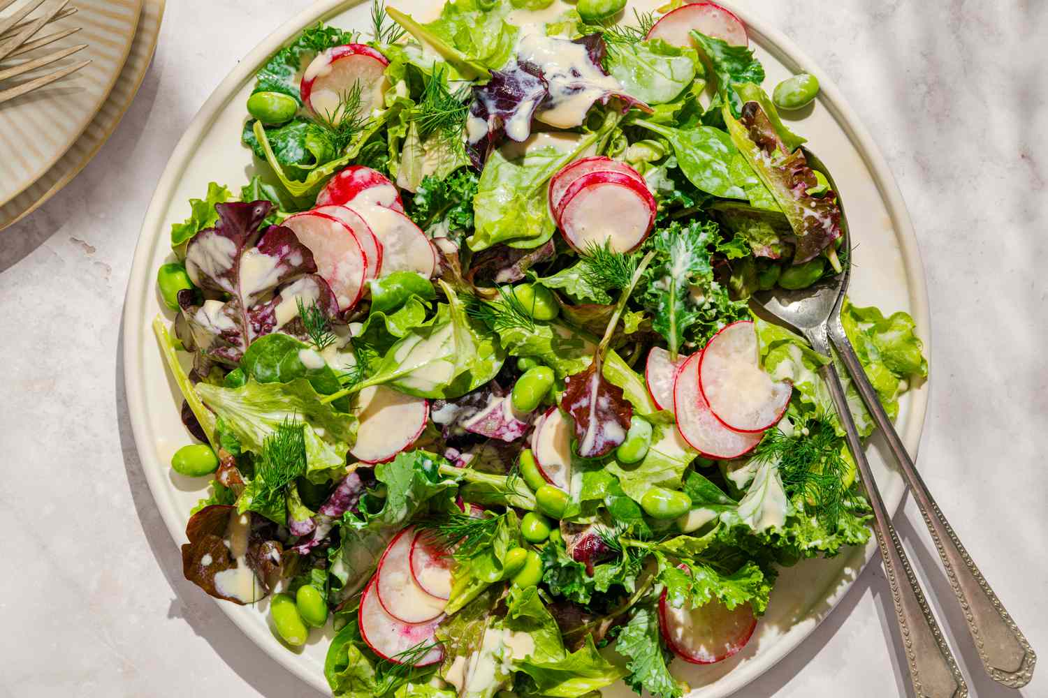 A dish containing a fresh salad with lettuce, radishes, and other vegetables topped with a creamy yogurt dressing