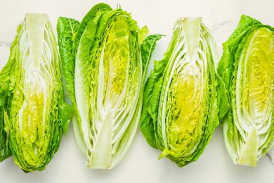 Four romaine lettuce halves on a white countertop