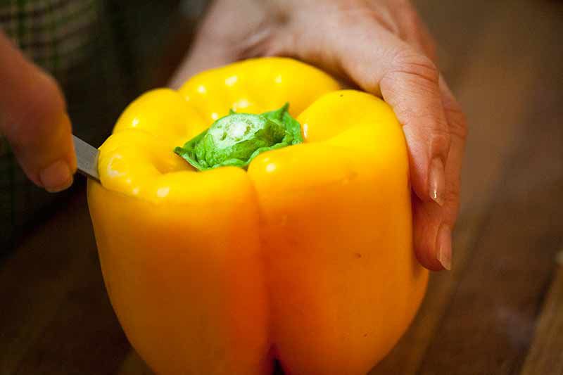 How to cut the top off bell pepper