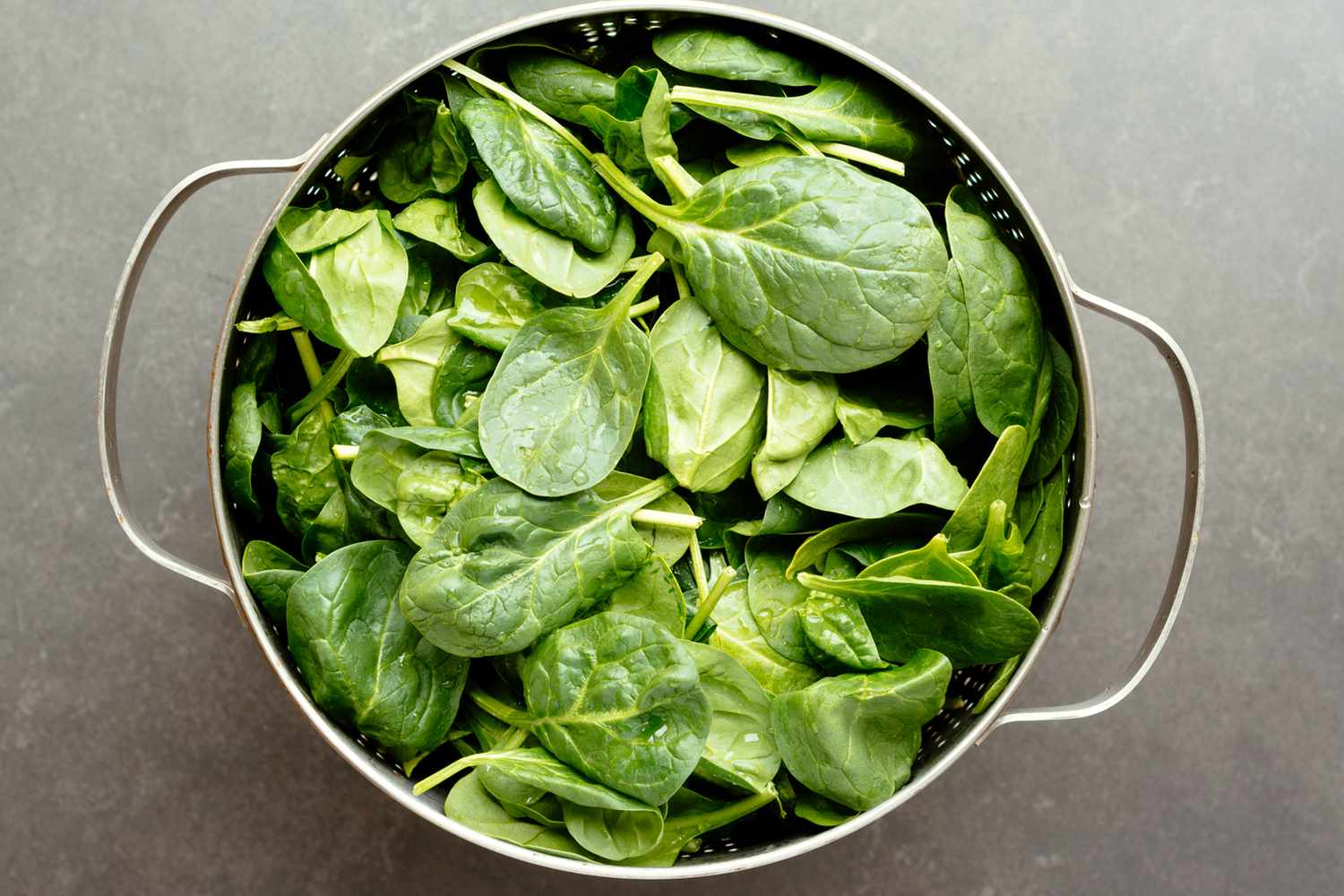 A colander filled with fresh spinach leaves