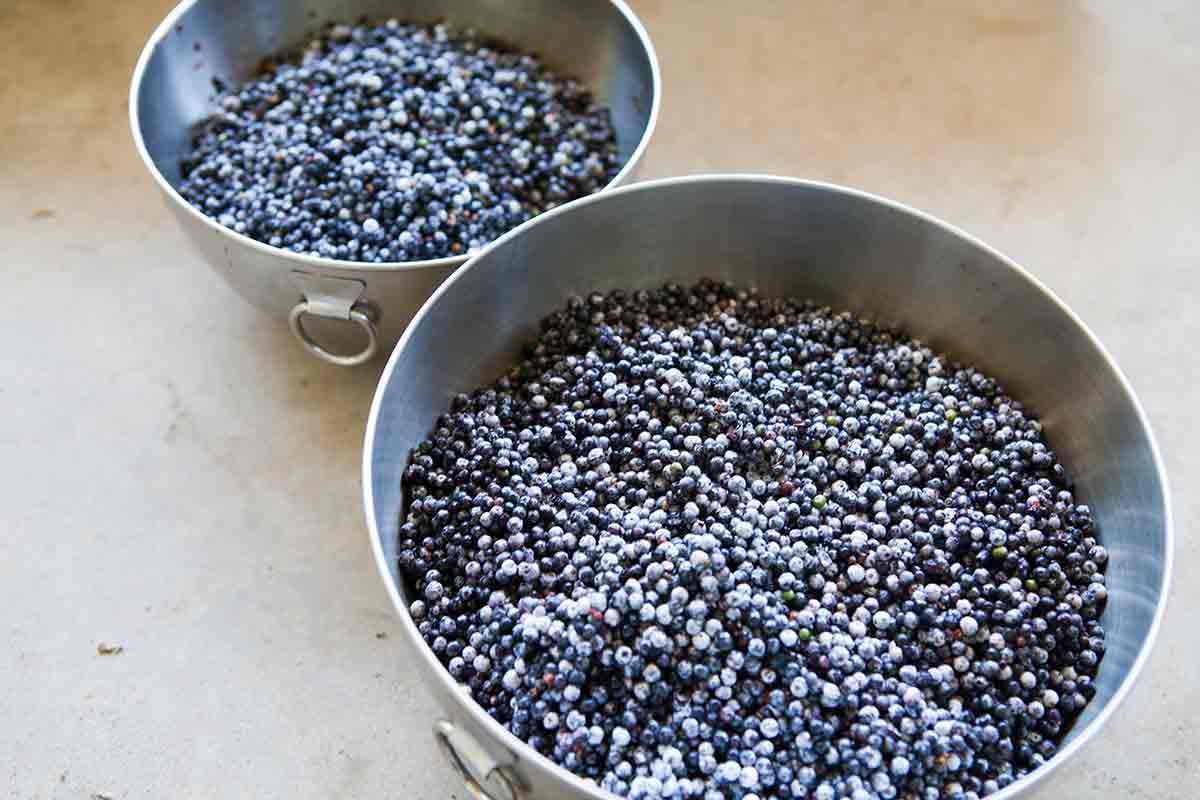 elderberry-jelly-method-2