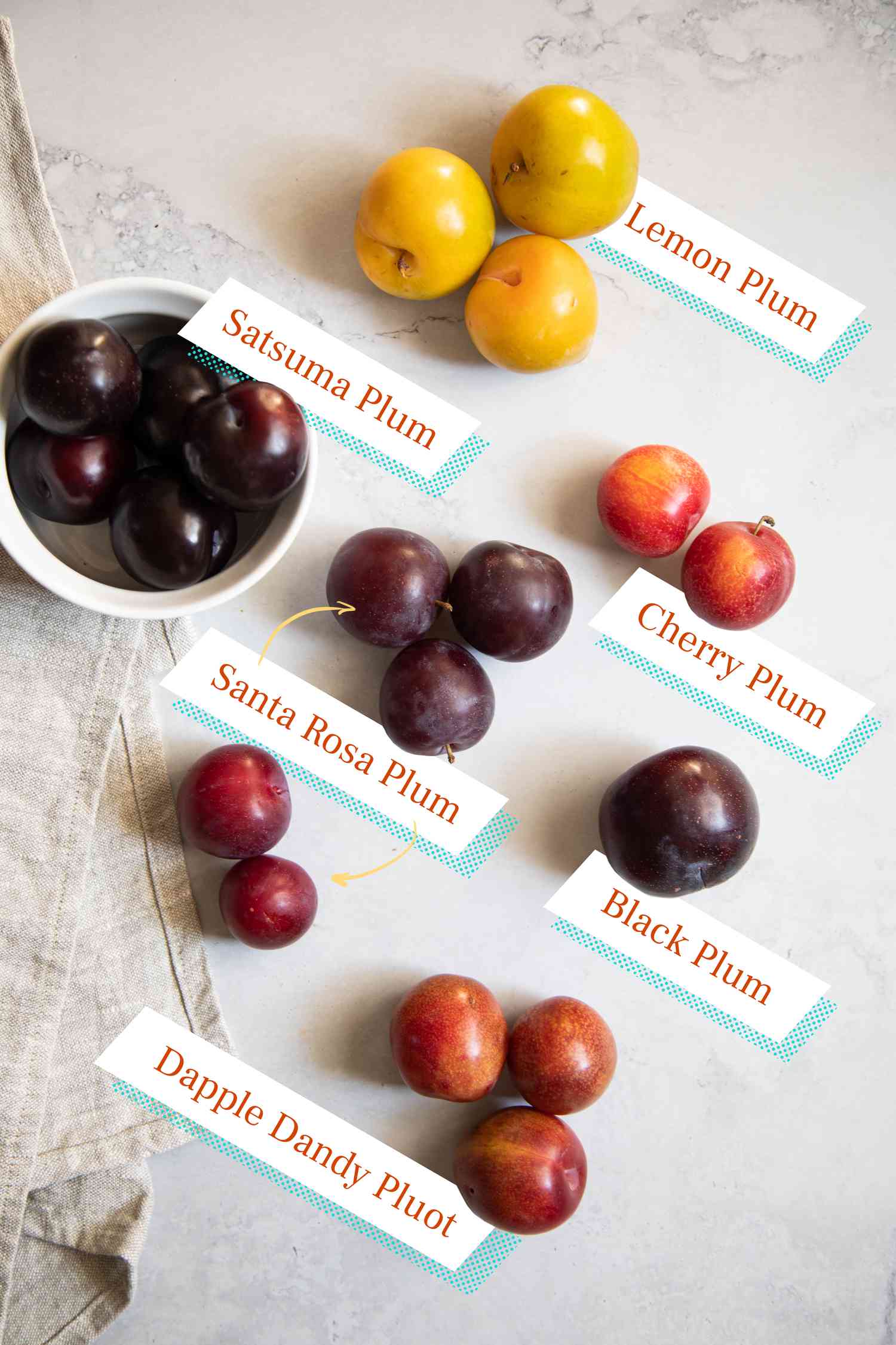Types of plums with labels