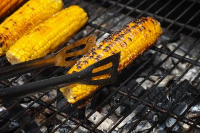 corn roasting on a grill