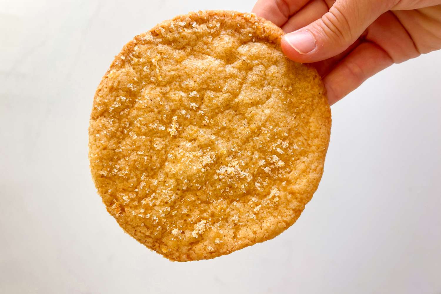 A hand holding a large lemon sugar cookie on a gray background