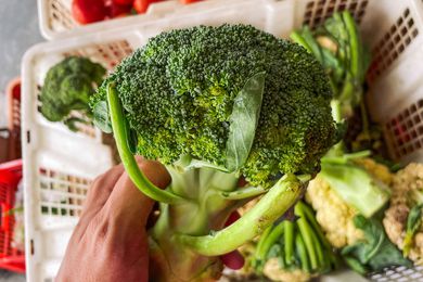hand holding a stalk of broccoli