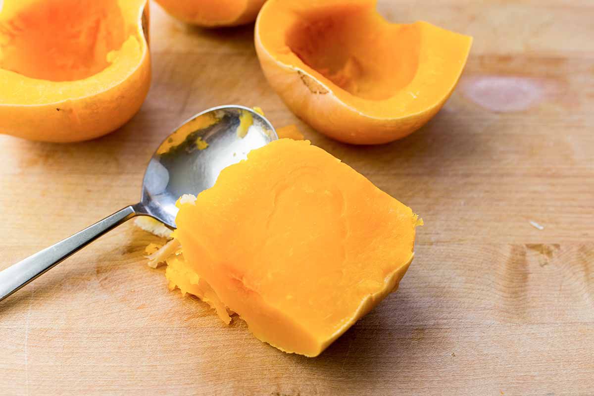 Pressure Cooker Butternut Squash Soup