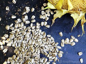 A scattering of sunflower seeds