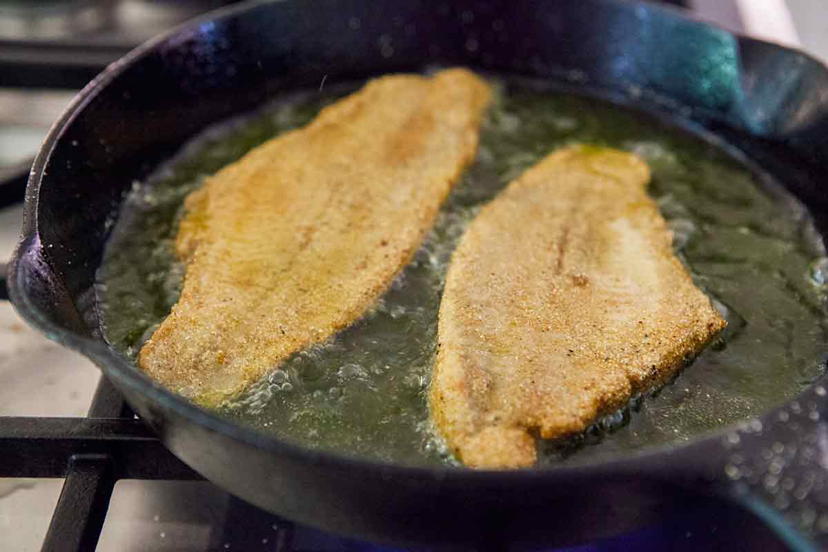 fried-catfish-method-4