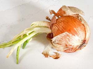 A sprouted onion with green shoots placed on a light surface