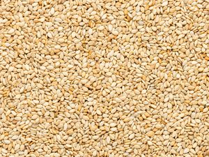 Toasted Sesame Seeds 