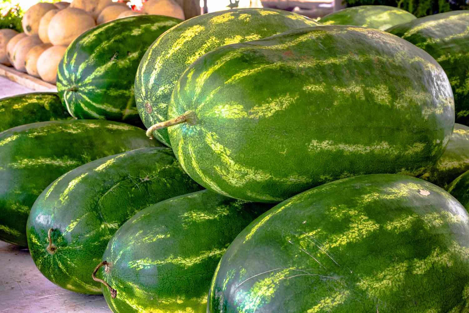 pile of watermelon at the market
