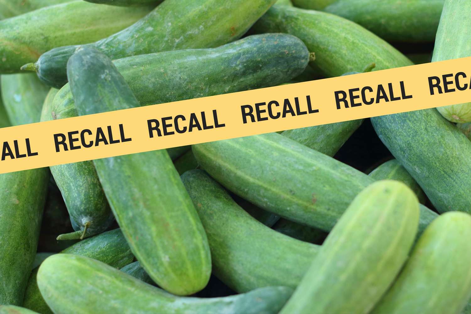 cucumbers recalled