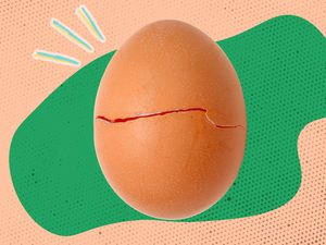 Egg with small crack