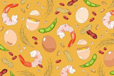 illustration of shrimp, soy, eggs, wheat and nuts