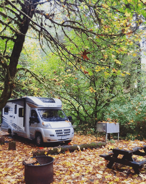 RV in the Redwoods